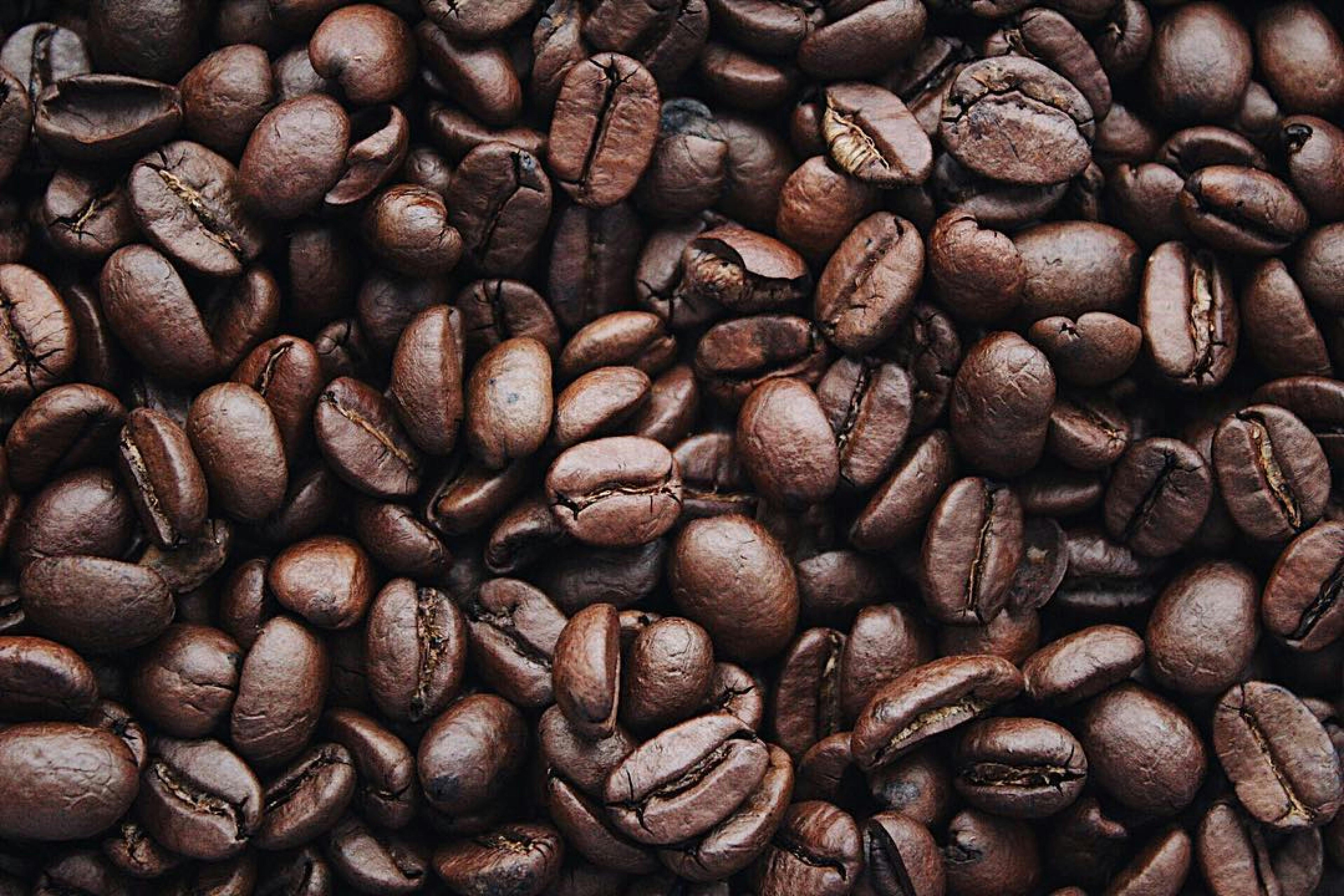 Cocoa Bean: Origins, Production, and Benefits