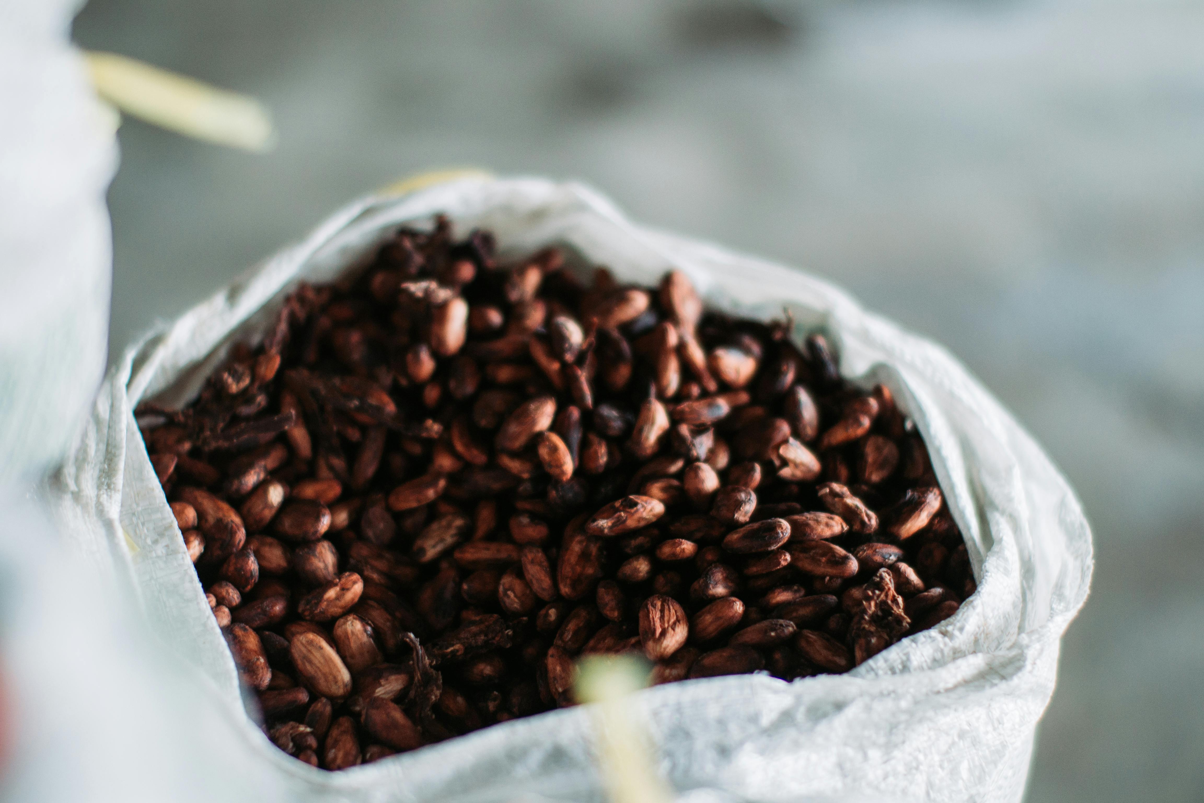 Cocoa Bean Varieties and Classifications: Traditional and Modern Perspectives